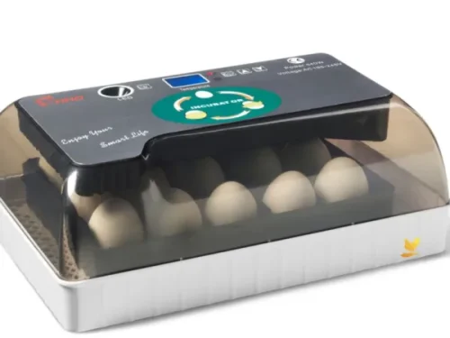 Broedmachine automatisch HHD 12 eieren