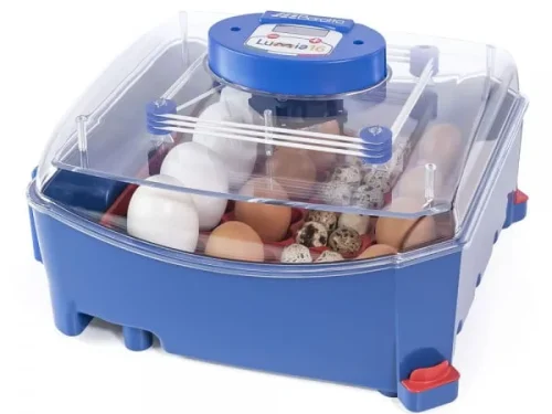 Broedmachine Borotto Lumia 16 met automatisch keersysteem