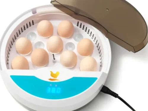 HHD broedmachine geschikt voor 9 kippeneieren