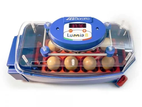 Broedmachine Borotto Lumia 8 met automatisch keersysteem