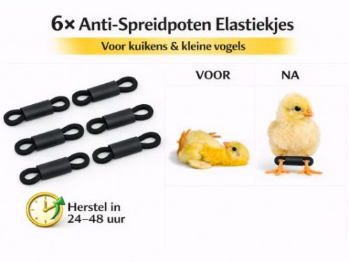 Anti-spreidpoten elastiekjes (6 stuks)