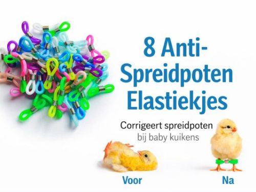 Anti-spreidpoten elastiekjes kleurenmix (8 stuks)