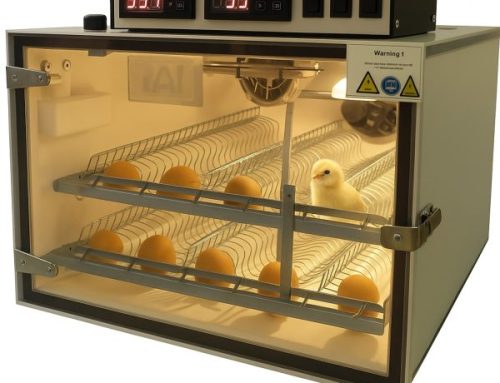 Weetjes en feitjes over broeden met een broedmachine