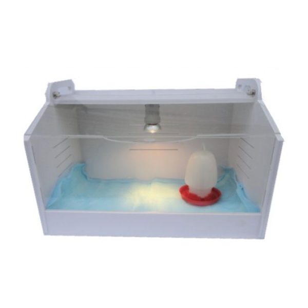 Mini Brooder voor Kuikens & Kwartels - Afbeelding 2